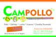 Imagen de CamPollo