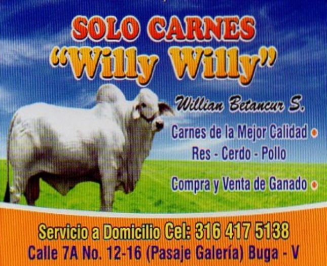 Imagen de Solo Carnes Willy