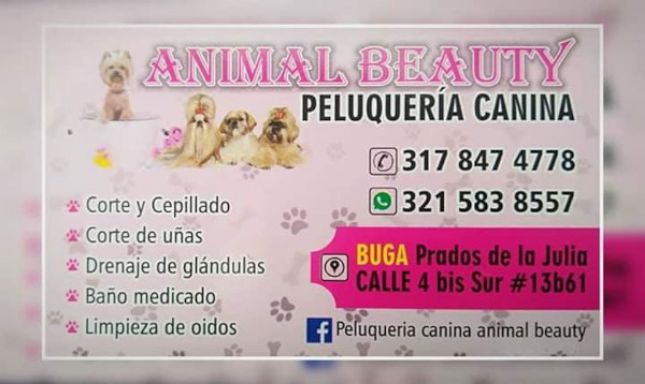 Imagen de Animal Beauty